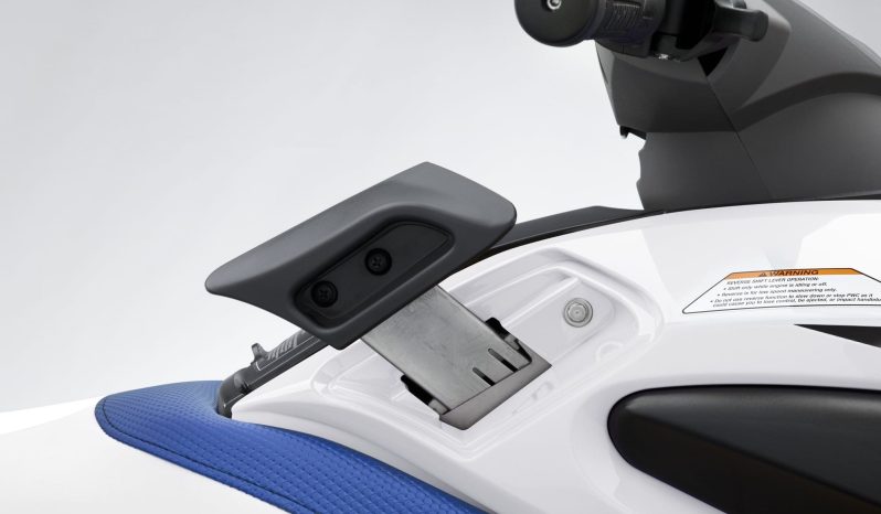 Yamaha FZS SVHO full